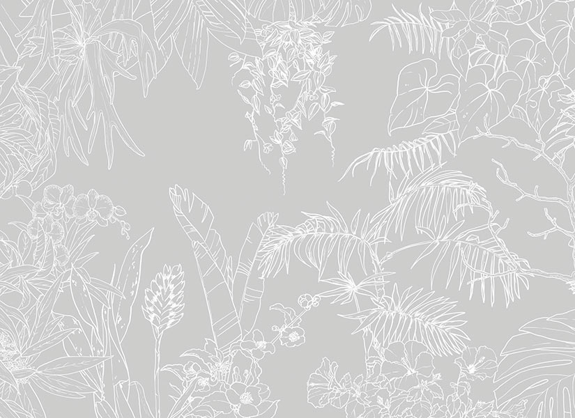 Papier peint Jungle Tropical Fond Gris Medium